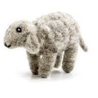Picture of Sheep Standing