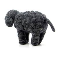 Picture of Sheep Standing