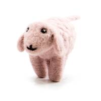 Picture of Sheep Standing