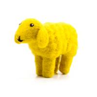 Picture of Sheep Standing
