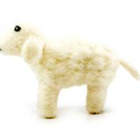 Picture of Sheep Standing