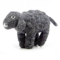 Picture of Sheep Standing